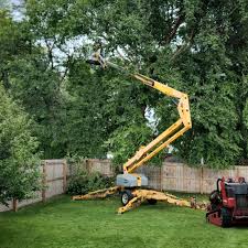 Best Commercial Tree Services  in Palm Springs North, FL